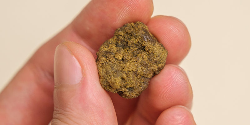 Alternatives til hurtig tørring af cannabis: Brug frisk cannabis til at lave live-ekstrakter! Alternatives to speed-drying weed: Use fresh weed to make live extracts!