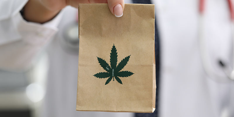 Tørring af cannabis i papirposer Tørring af cannabis i papirposer
