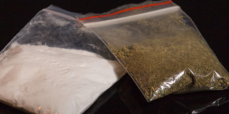 Farerne ved at sniffe cannabis Dangers Of Snorting Cannabis