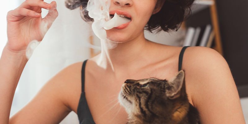 Kan dyr blive skæve af passiv cannabisrøg? Kan dyr blive skæve af passiv cannabisrøg?