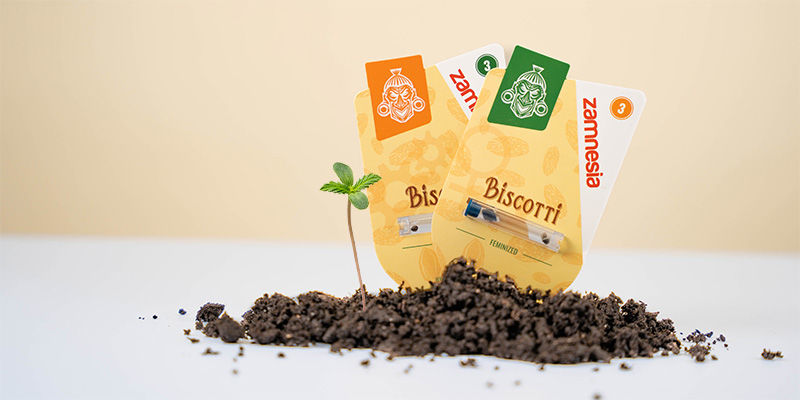 Sådan dyrker du Biscotti How to grow Biscotti