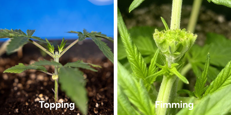 Få styr på topping og fimming Få styr på topping og fimming