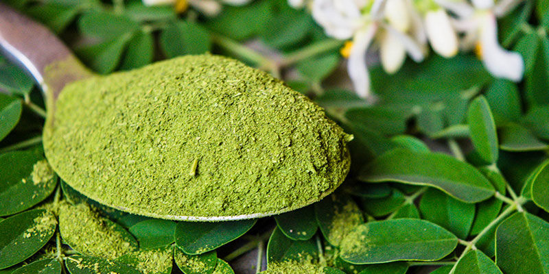 Få mere ud af moringa i dag Få mere ud af moringa i dag