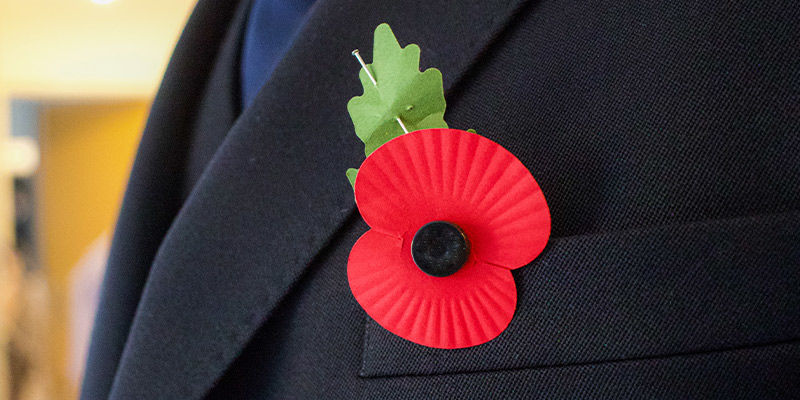 Valmuers symbolik Symbolism Of Poppies