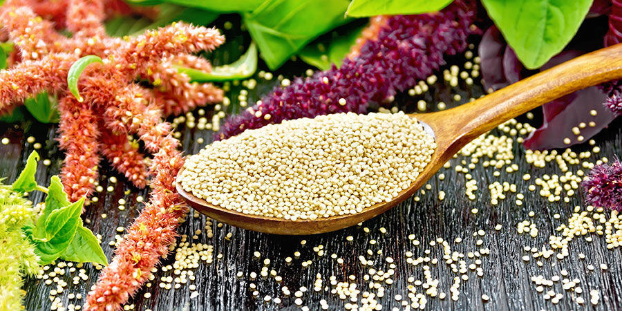 Amarant Amaranth