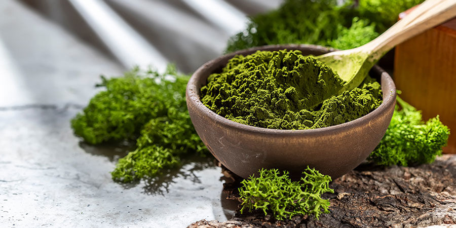 Spirulina Spirulina