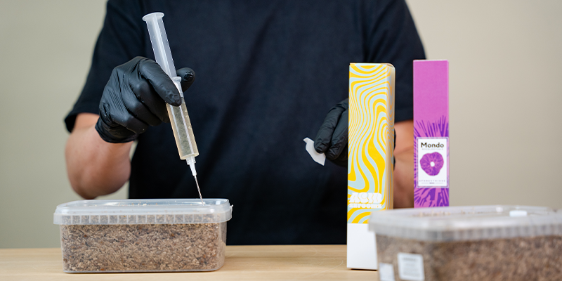 Which Is Better For Mushroom Cultivation: Spore Syringes Or Liquid Culture? Which Is Better For Mushroom Cultivation: Spore Syringes Or Liquid Culture?
