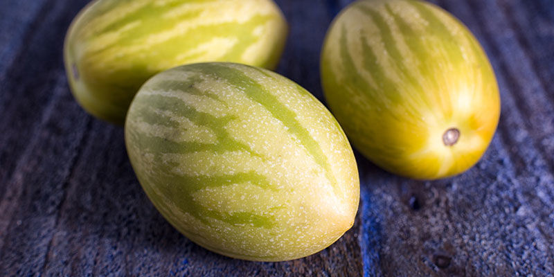 Melonpære Melon Pear