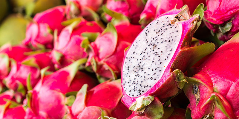 Dragefrugt Dragon Fruit