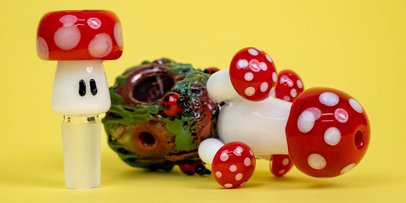 Smag på en svamp eller to Sample a shroom or two