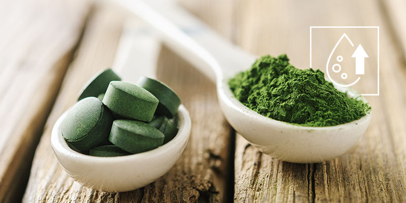 Chlorella kan hjælpe dig med at udskille giftstoffer Chlorella May Help You Purge Toxins