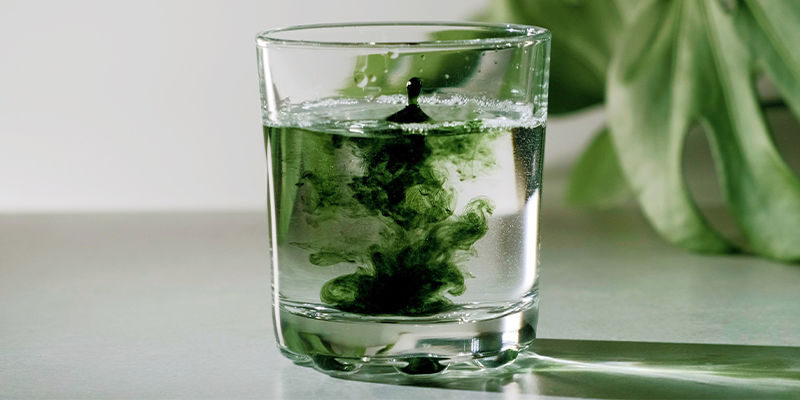 Chlorella: En god tilføjelse til enhver sund kost Chlorella: En god tilføjelse til enhver sund kost