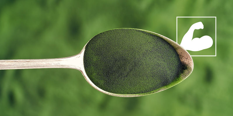 Hvad er de sundhedsmæssige fordele ved chlorella? Hvad er de sundhedsmæssige fordele ved chlorella?