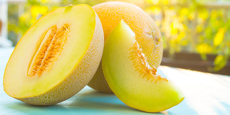Muskatmelon Muskmelon