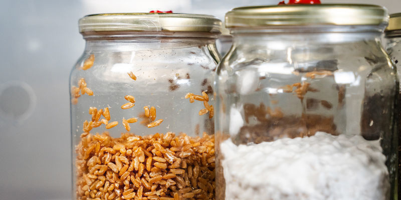 Korn til bulk Grain to bulk