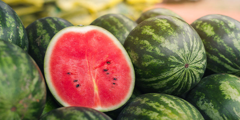 Vandmelon Watermelon