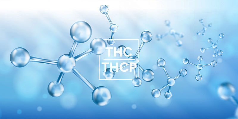 Hvordan adskiller THCP sig fra THC? Hvordan adskiller THCP sig fra THC?