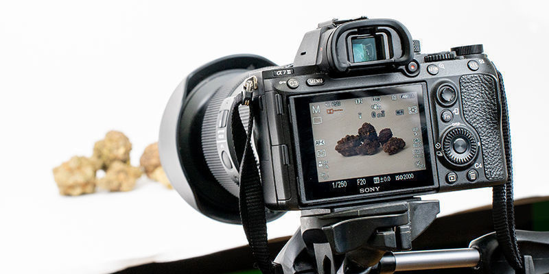 Sådan konfigurerer du dit kamera til cannabisfotografering Sådan konfigurerer du dit kamera til cannabisfotografering