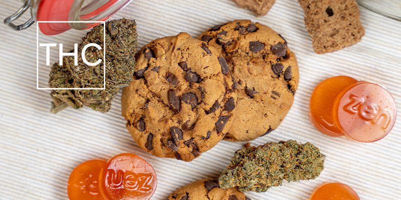 Nedbrydes THC i spiselige cannabisprodukter? Nedbrydes THC i spiselige cannabisprodukter?
