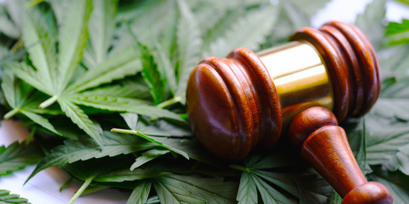 Hvornår bliver cannabis lovligt? Hvornår bliver cannabis lovligt?