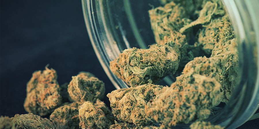 Terpenoider Terpenoids