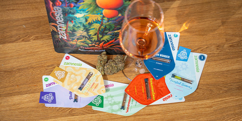Omfavn cannabissens sofistikerede side Omfavn cannabissens sofistikerede side