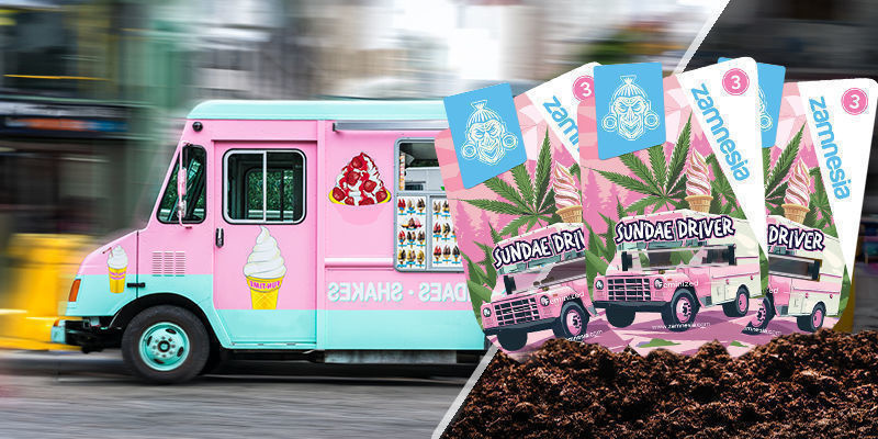 Sundae Driver Sundae Driver
