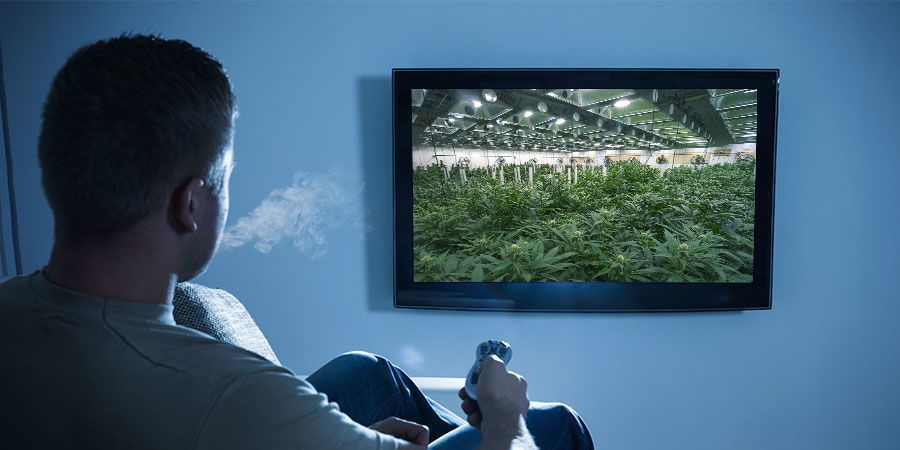 Kombinér cannabis med dokumentarer PAIRING WEED WITH DOCUMENTARIES