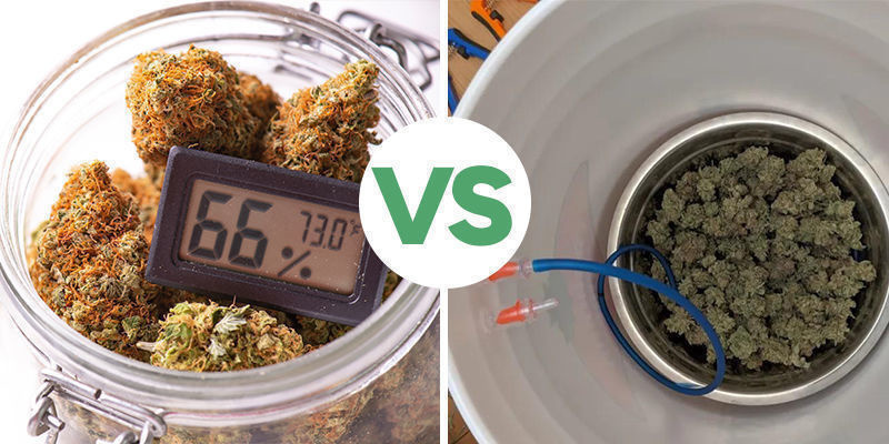 Curing Cannabis: Manuel vs. automatiseret Curing Cannabis: Manual VS Automated