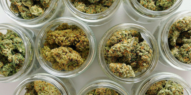 Hvad er den bedste proces til curing af cannabis? Hvad er den bedste proces til curing af cannabis?