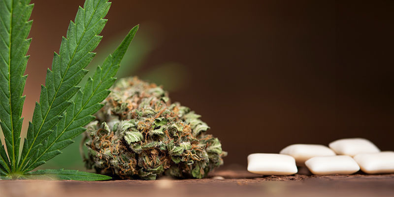 Cannabis tyggegummi Cannabis Chewing Gum