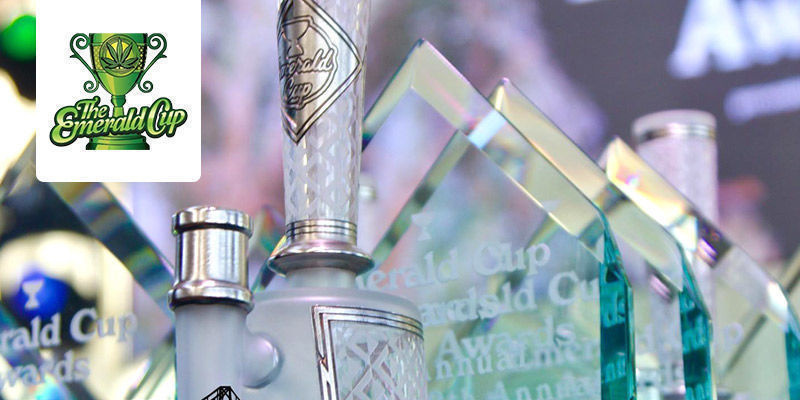 The Emerald Cup - Californien, USA The Emerald Cup - California, USA