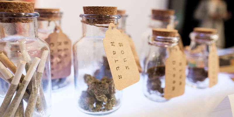 Cannabis-klubber i Tyskland: ukendt land Cannabis-klubber i Tyskland: ukendt land