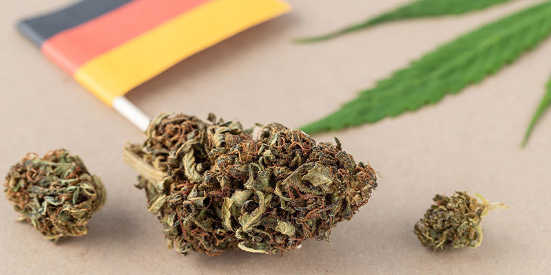 Hvad siger loven om cannabis i Tyskland? Hvad siger loven om cannabis i Tyskland?