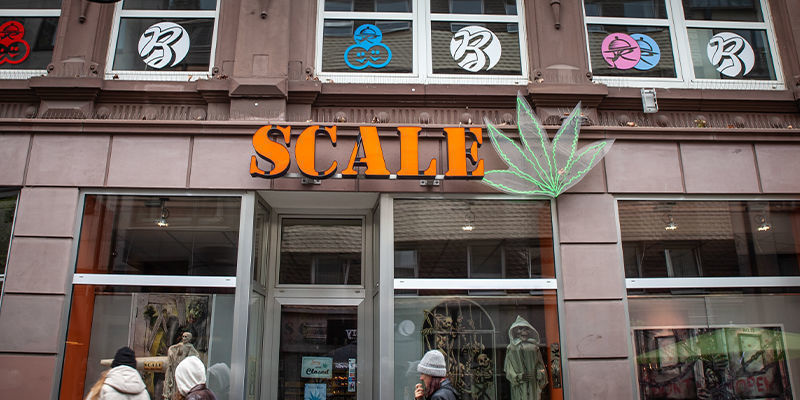 Hvilke nye cannabisvirksomheder findes der? Hvilke nye cannabisvirksomheder findes der?