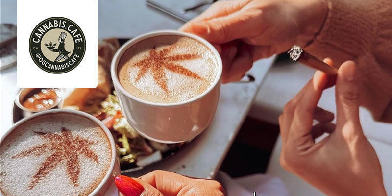 Cannabis Cafe: Hollywood, USA Cannabis Cafe: Hollywood, USA