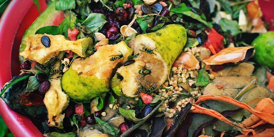 Lav kompost om til te Turning compost into tea