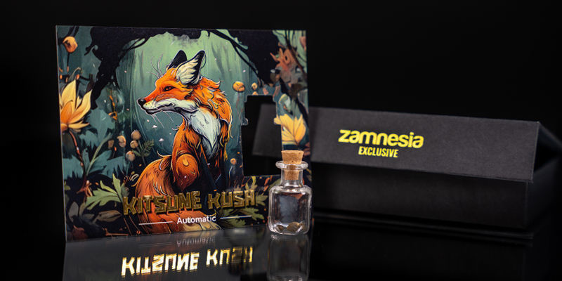 Rang 1 — Spejder ræv: Kitsune Kush Auto Rank 1 — Scouting Fox: Kitsune Kush Auto