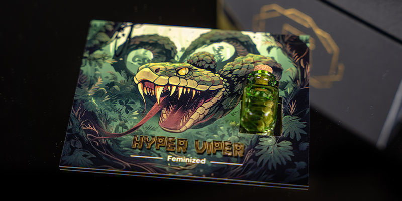 Rang 2 — Stigende Kobra: Hyper Vyper Rank 2 — Rising Cobra: Hyper Vyper