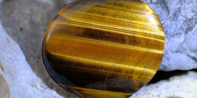 Tiger's eye Tiger's eye