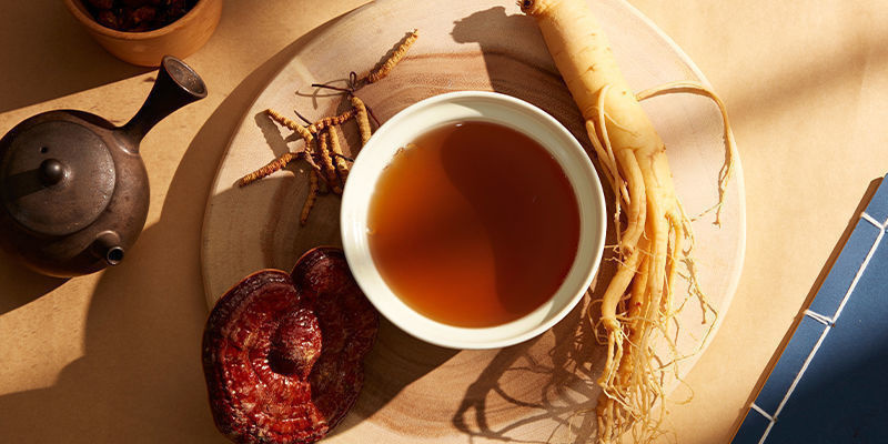 Høst og brug af cordyceps-svampe Høst og brug af cordyceps-svampe