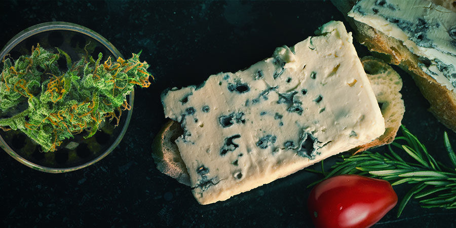 Blue Cheese: Smag & virkninger BLUE CHEESE: FLAVOUR & EFFECTS