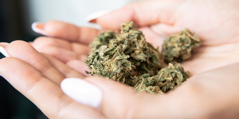 Fordele ved at bruge cannabis som et biohacking-værktøj Fordele ved at bruge cannabis som et biohacking-værktøj