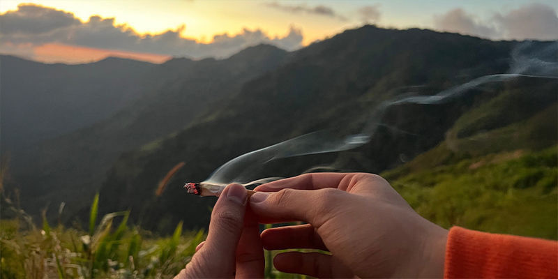Lærerig cannabisturisme Educational cannabis tourism