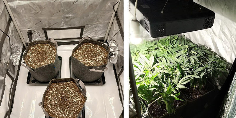 Anbefalinger til dyrketelt til cannabis Anbefalinger til dyrketelt til cannabis