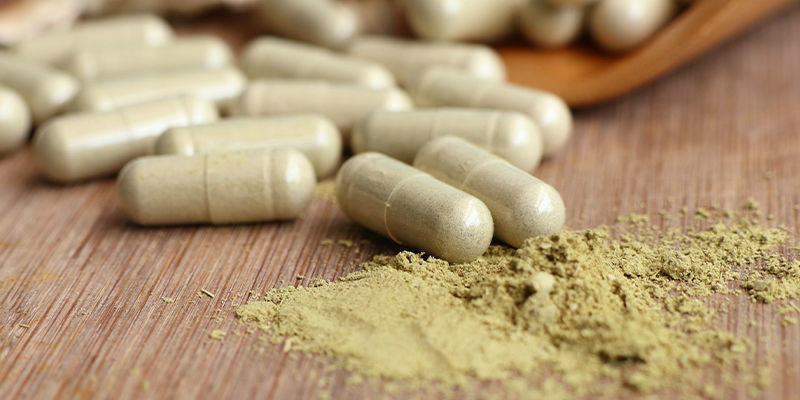 Introduktion af kratom til den vestlige verden Introduktion af kratom til den vestlige verden