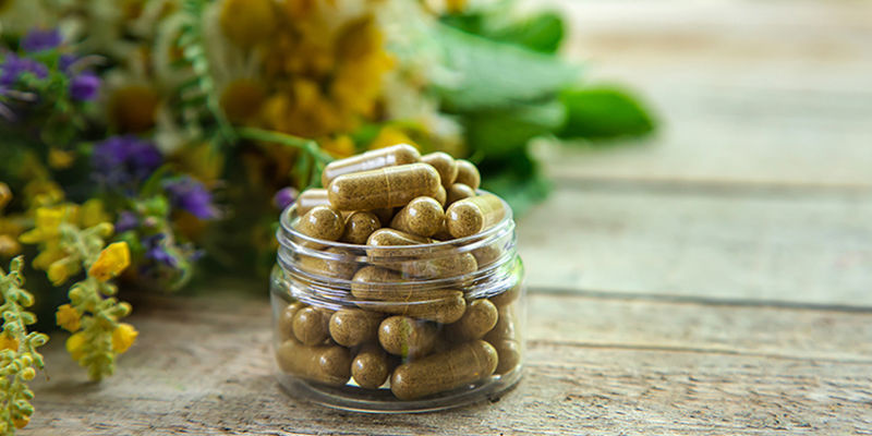 Katteurt i urtemedicin Catnip in herbal remedies
