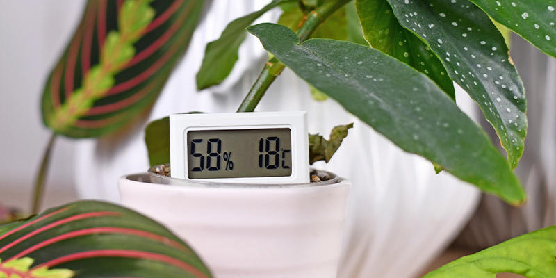 Oprethold det rette luftfugtighedsniveau Maintain proper humidity levels