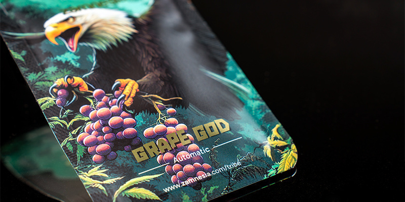 Plads 5: Grape God Automatic (Zamnesia Seeds) Plads 5: Grape God Automatic (Zamnesia Seeds)