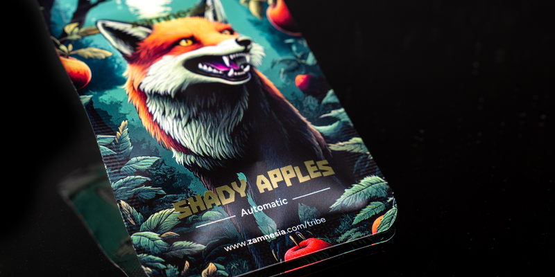Plads 1: Shady Apples Automatic (Zamnesia Seeds) Plads 1: Shady Apples Automatic (Zamnesia Seeds)